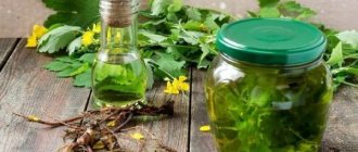 Infusion of celandine for acne