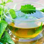 Nettle decoction for the treatment of urticaria on the legs