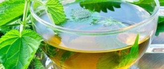 Nettle decoction for the treatment of urticaria on the legs