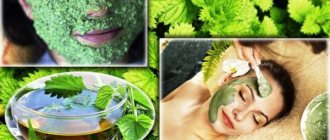 Benefits of nettle for facial skin