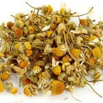 Chamomile preparations can be used as adjuncts for the treatment of acne.